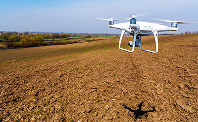 drone quad copter on green corn field